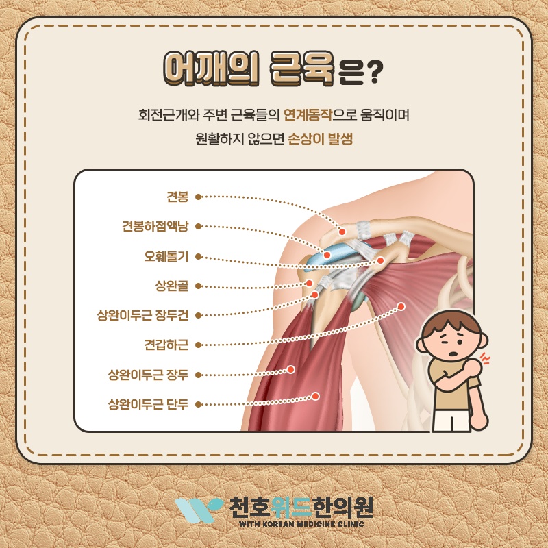 충돌증후군에서 나타나는 어깨 관절 압통의 특징