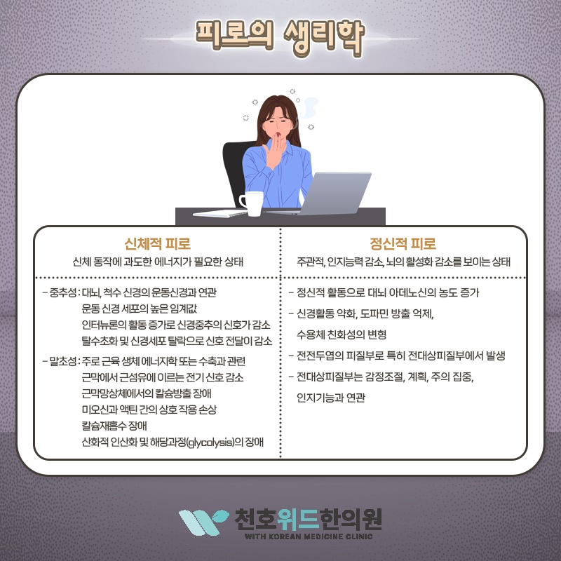 만성피로와 함께 달라진 일상, 확인해 볼 내용