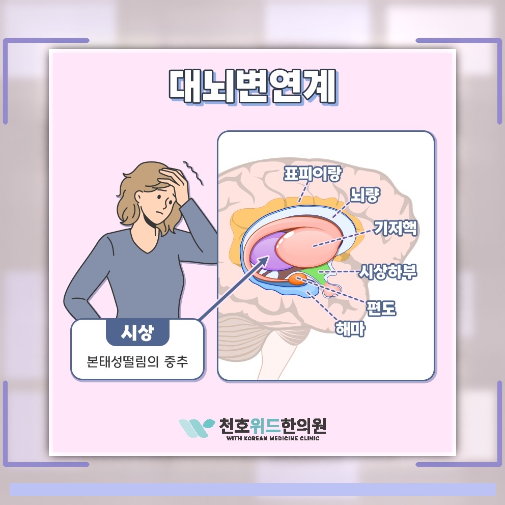 본태성떨림에서 확인하는 손 떨림의 양상과 대응