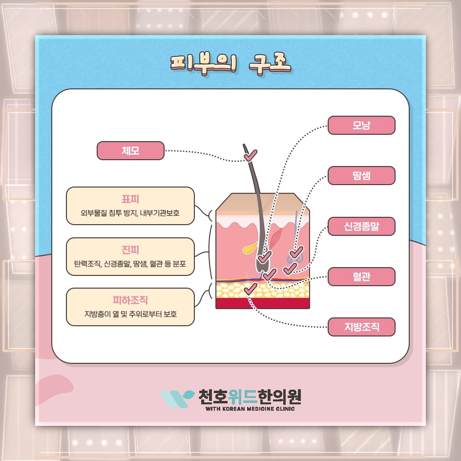 예고 없이 나타난 두드러기, 원인을 살펴보는 방법