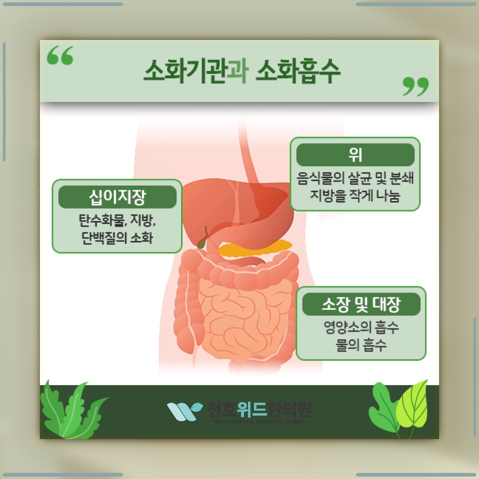묵직하고 부글거리는 아랫배, 과민성대장증후군의 증상일까