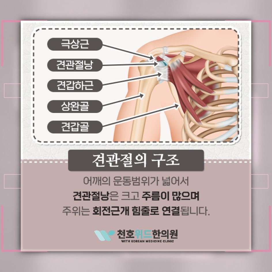 오십견으로 굳은 어깨, 회복 과정을 살펴보기
