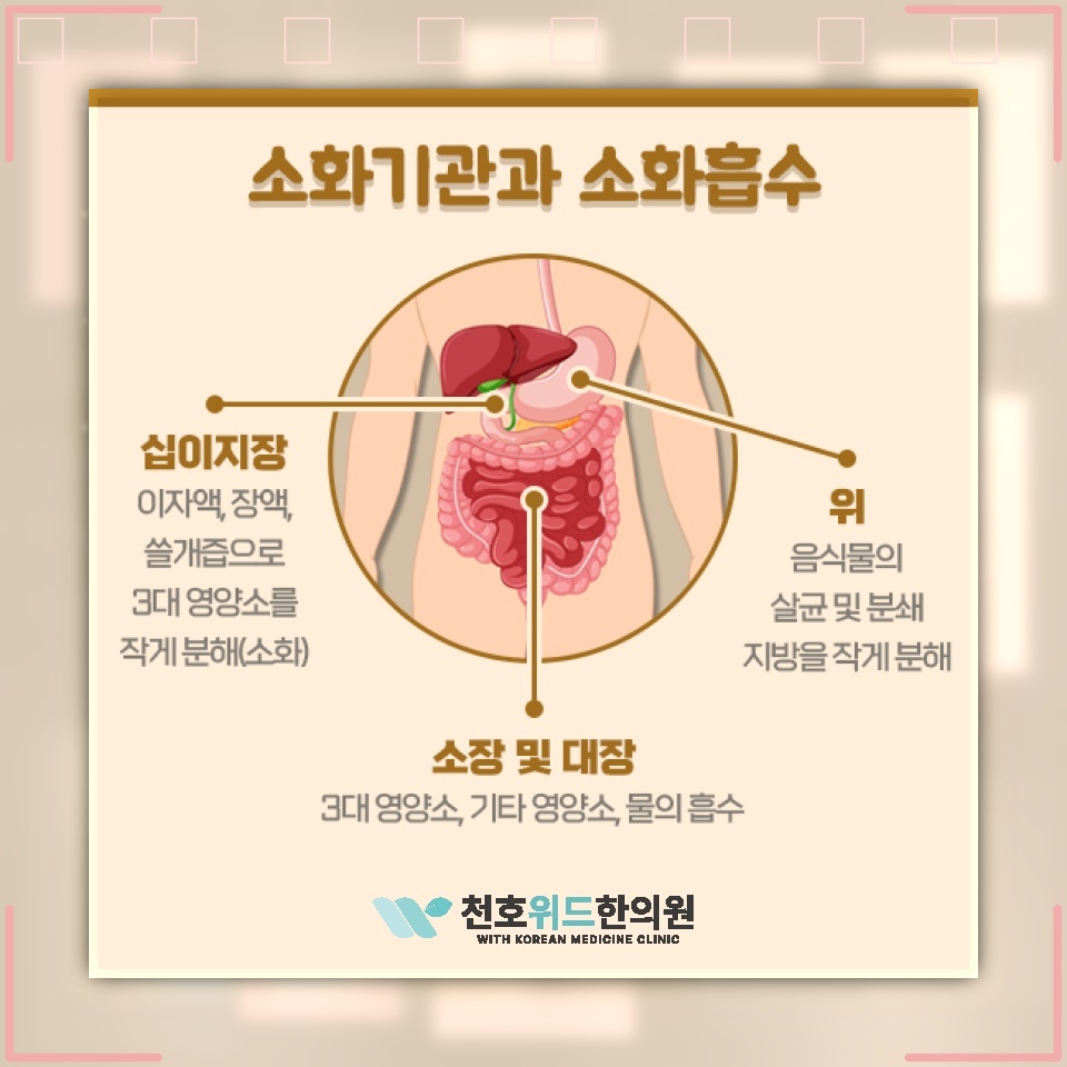 지속되는 기능성소화불량이 식사와 생활에 미치는 영향