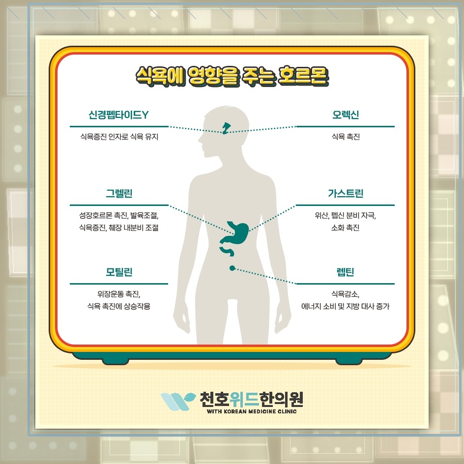 소아 식욕부진을 대할 때 살펴야 할 편안한 식사 분위기
